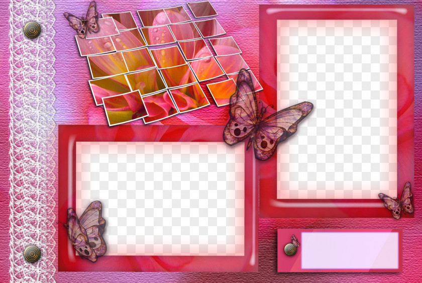 Pink Butterfly Frame Border Picture Photography PNG