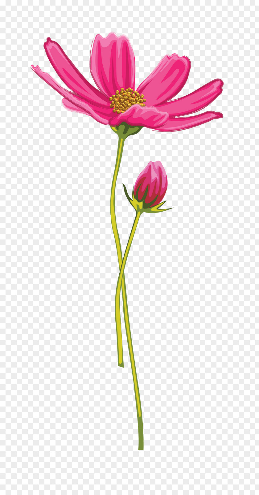 Tulip Diary Flower LiveInternet Blog PNG