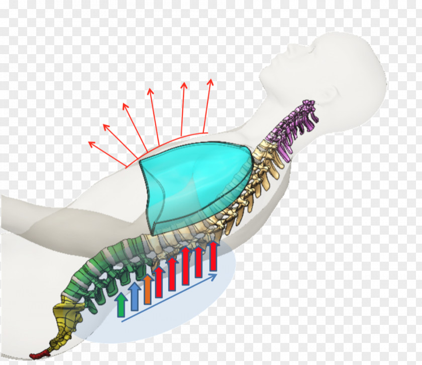 Health Breathing Exercise Respiration Geriatrics PNG