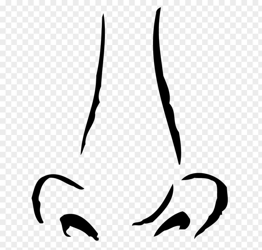 Nose Drawing Clip Art PNG