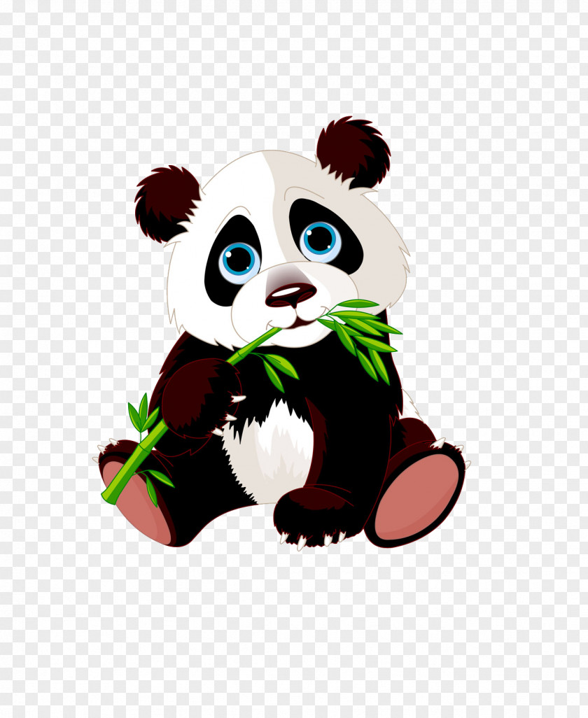 Panda Eating Bamboo Giant Bear Red Clip Art PNG