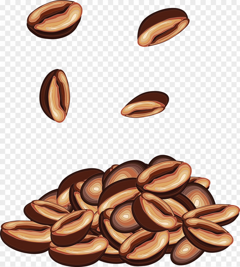 Plant Food Nuts & Seeds Seed PNG