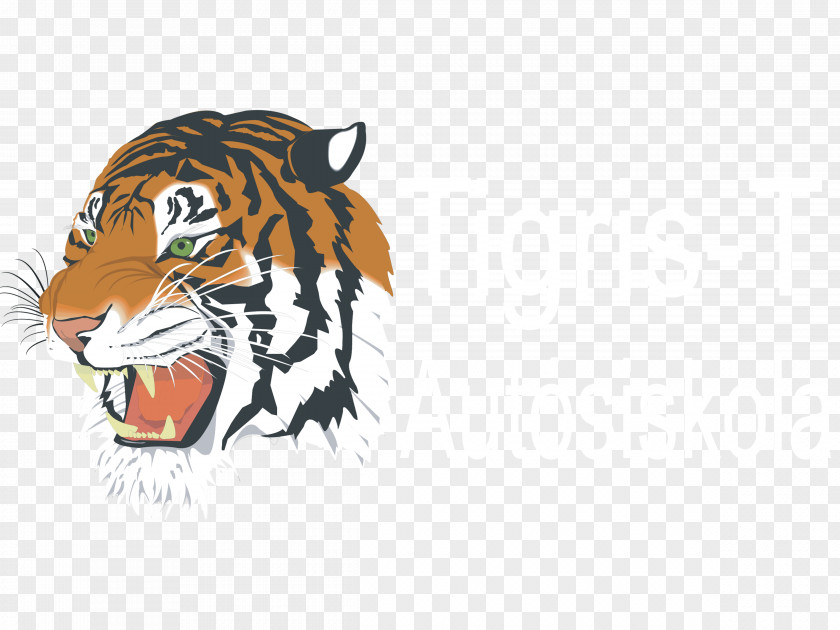 Tiger Kasson-Mantorville Senior High School Detroit Tigers Sports Football PNG