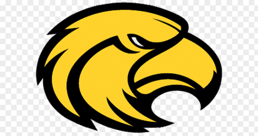 Blue Flyer Southern Miss Golden Eagles Football Men's Basketball Lady Women's M.M. Roberts Stadium NCAA Division I Bowl Subdivision PNG
