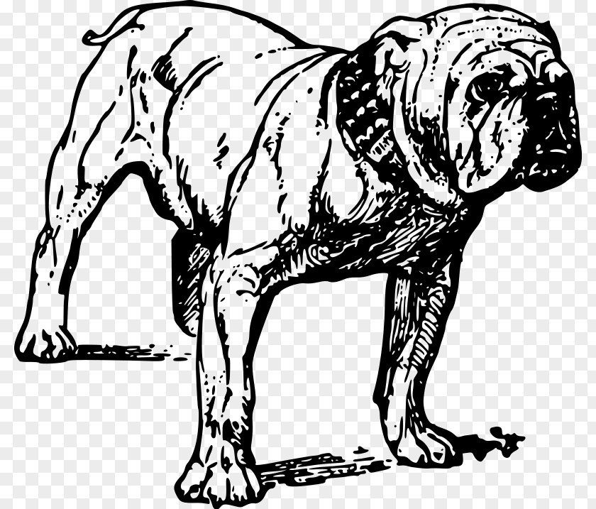 French Bull Dog Bulldog Alapaha Blue Blood Rottweiler PNG