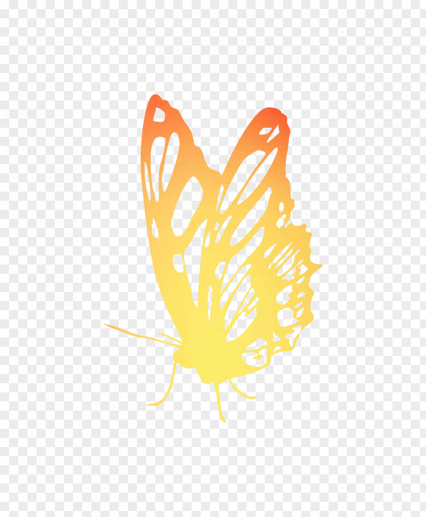 Monarch Butterfly Clip Art Brush-footed Butterflies Logo PNG