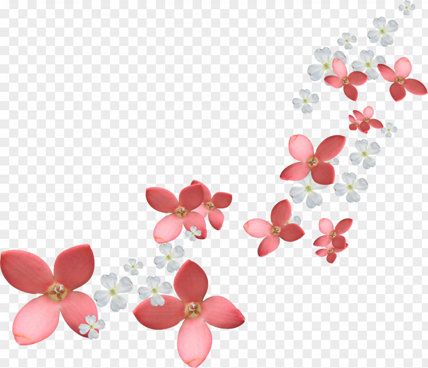 Rose Flower Clip Art Image PNG