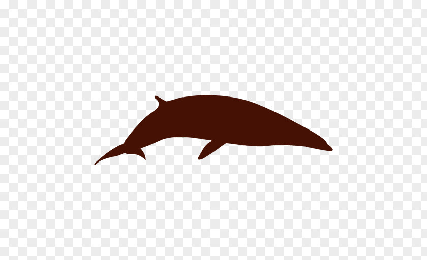 Dolphin Whale Silhouette PNG