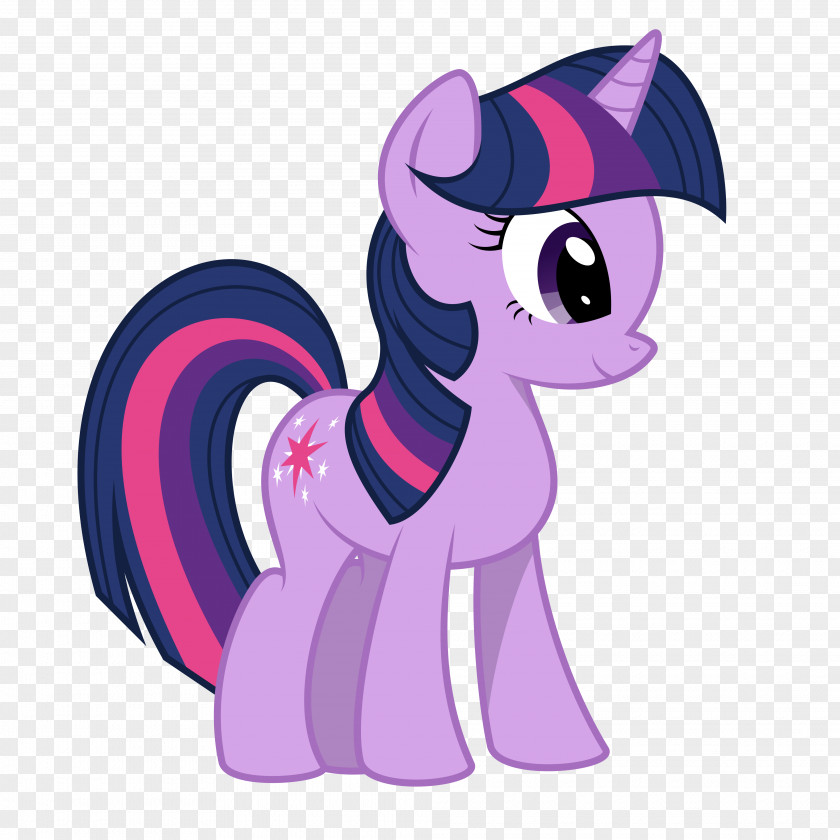 Sparkle Vector Twilight Pony Applejack Rarity Pinkie Pie PNG