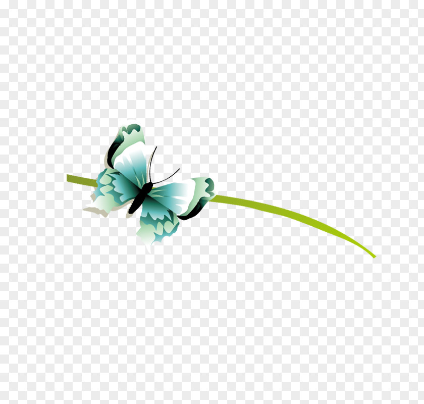 Butterfly Green PNG