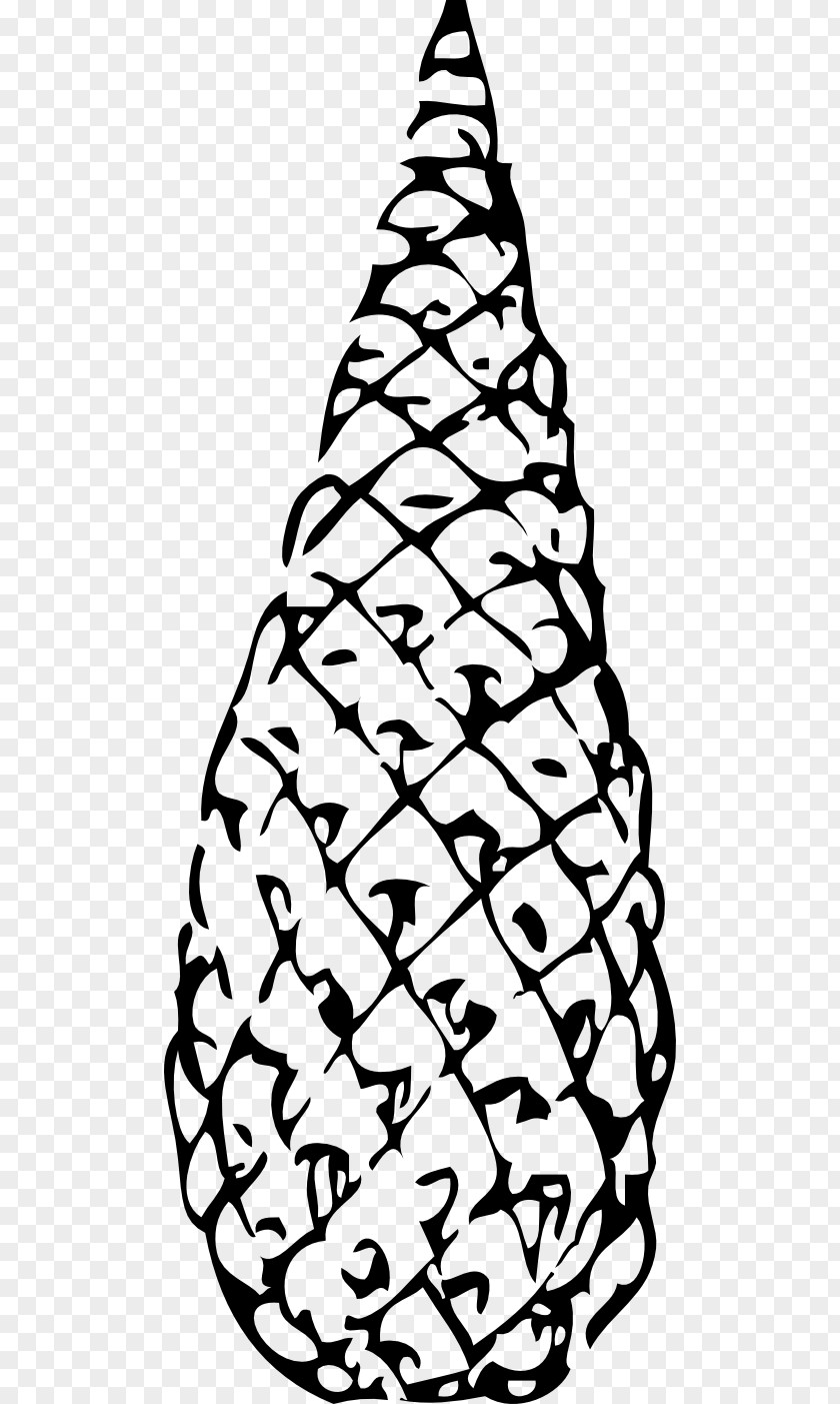 Caution Cone Clipart Conifer Single-leaf Pinyon Clip Art PNG