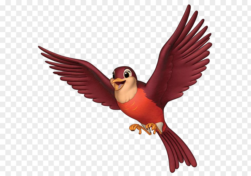 Disney Princess Amber Sofia Bird Clip Art PNG