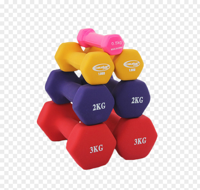 Dumbbell Barbell Exercise Equipment Weight Training Physical PNG