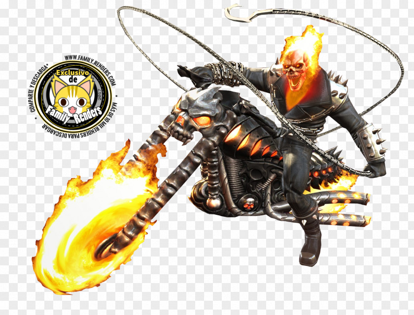 Ghost Rider Insect Membrane PNG