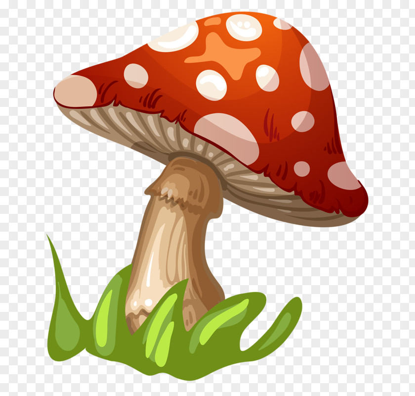 Grown Mushrooms Fungus Mushroom Clip Art PNG