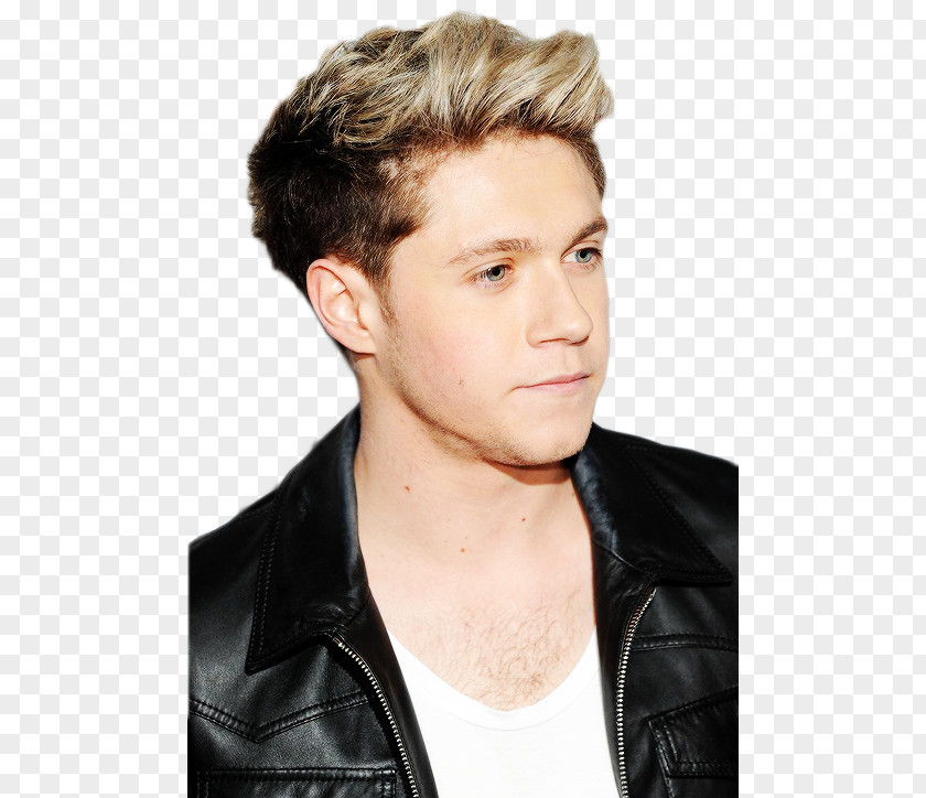 One Direction Niall Horan Where We Are Tour Mullingar Musician PNG