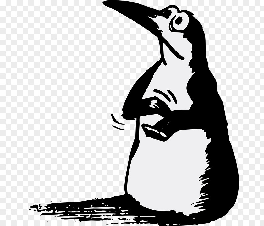 Penguin Clip Art Image Razorbills Vector Graphics PNG