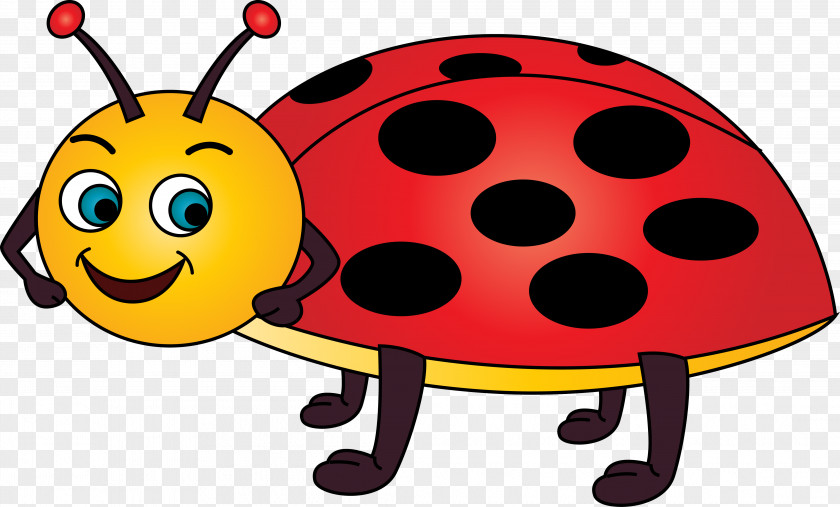 Cartoon Seven Star Ladybug Vector Ladybird Clip Art PNG
