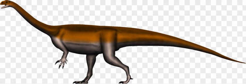 Dinosaur Glacialisaurus Riojasaurus Massospondylus Coloradisaurus PNG
