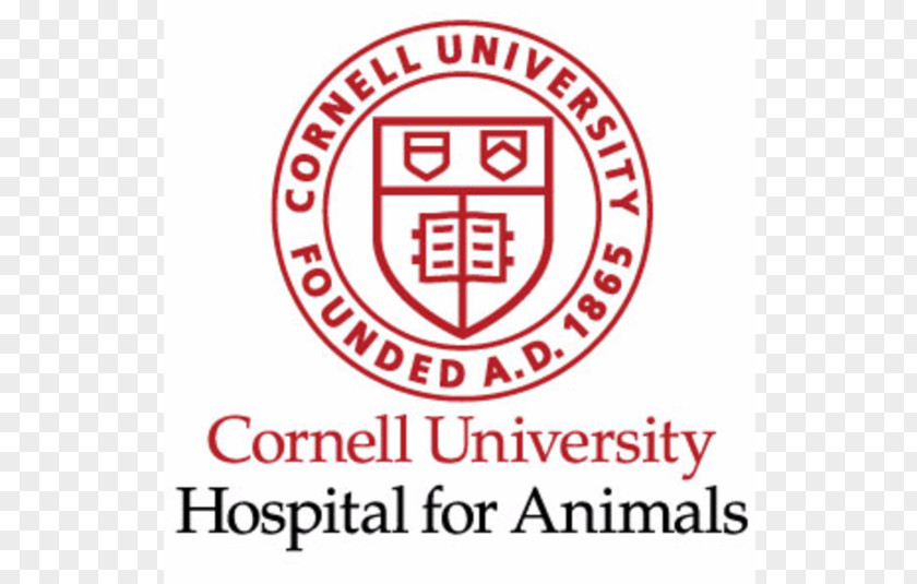 Line Cornell University Logo Brand Font Sticker PNG
