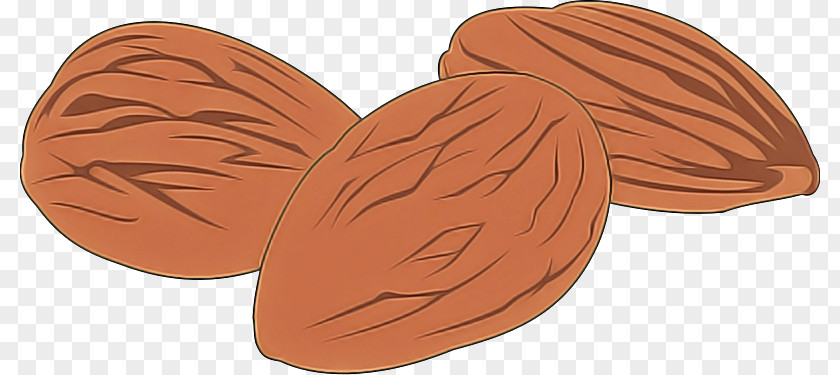 Orange PNG