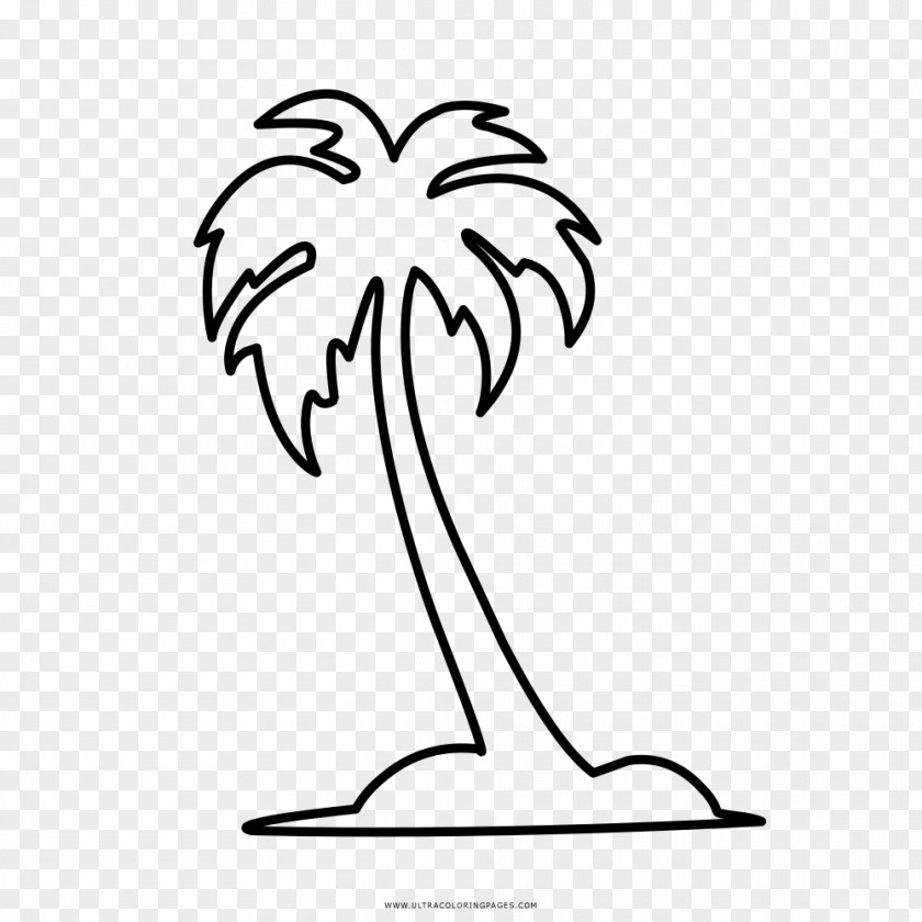 Palm Tree Coloring Book Drawing Arecaceae PNG