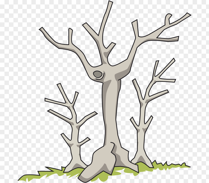 Dead Clipart Tree Branch Clip Art PNG