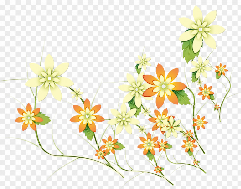 Floral Design Illustration Clip Art Pattern PNG