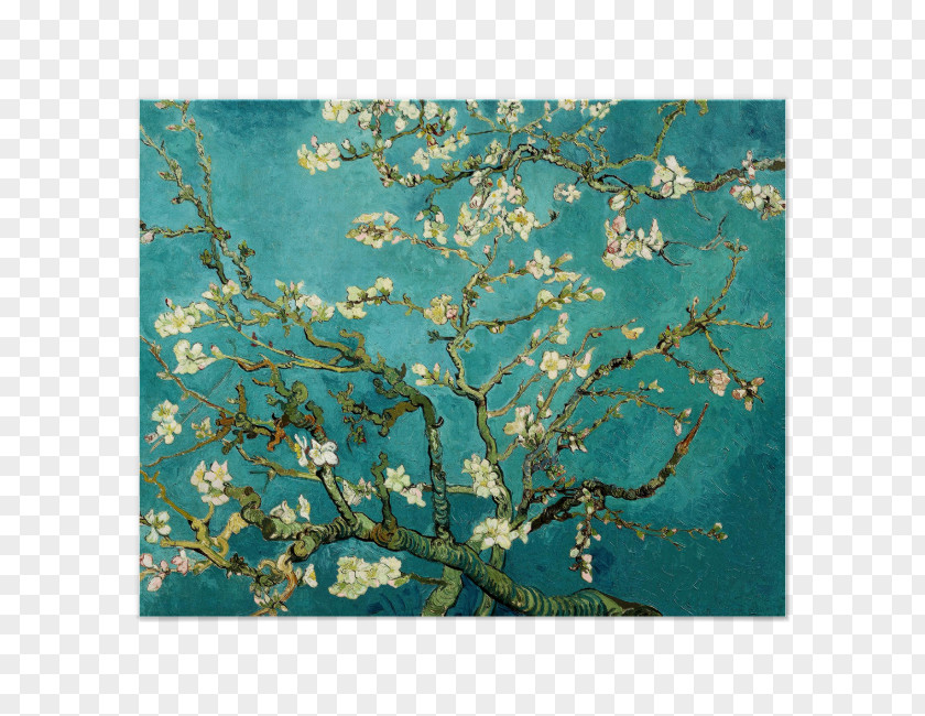 Flowers Almond Blossoms Irises Van Gogh Museum Painting PNG