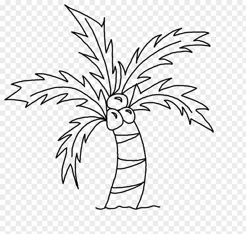Palm Leaves Drawing Coconut Art Sketch PNG