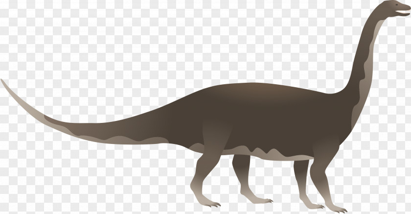 Riojasaurus Animal Dinosaur Art PNG