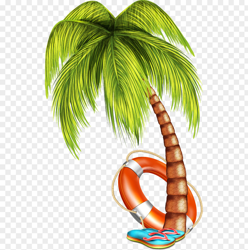 Summer Vacation Vector Elements Coconut Arecaceae Tree Clip Art PNG