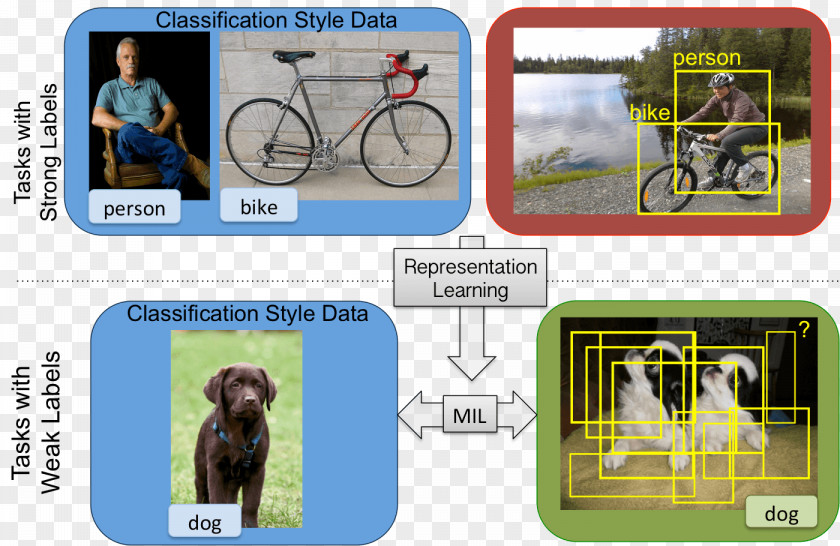 Deepak Image Multiple-instance Learning Computer Vision Deep Supervised Machine PNG