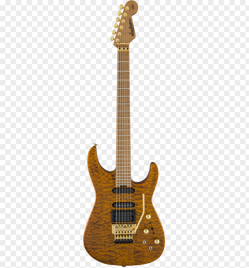 Def Leppard Drummer Fender Stratocaster Electric Guitar Floyd Rose Musical Instruments Corporation PNG