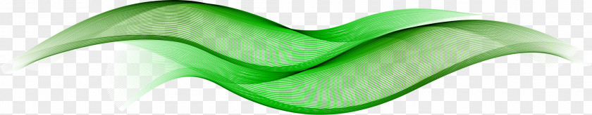 Green Soft Lines Leaf Font PNG