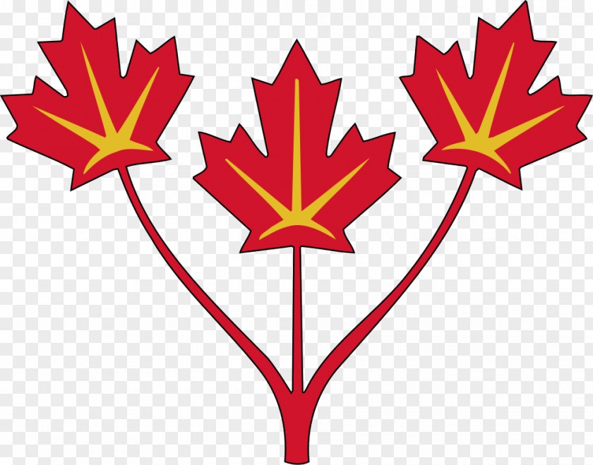 Images Of Maple Leaves Flag Canada United States Leaf PNG