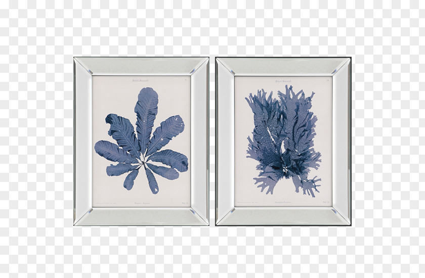 Painting Picture Frames Seaweed Poster Art Wall PNG