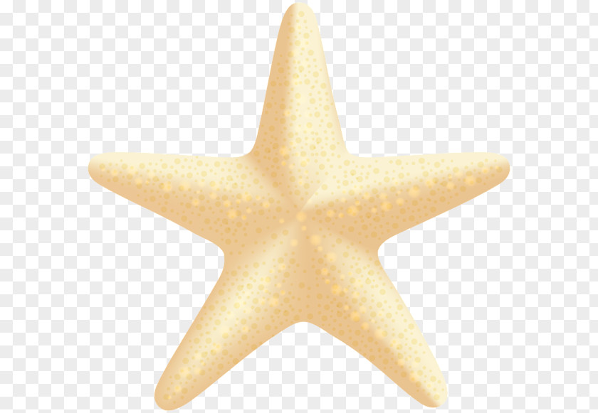 Sea Star Starfish Clip Art PNG