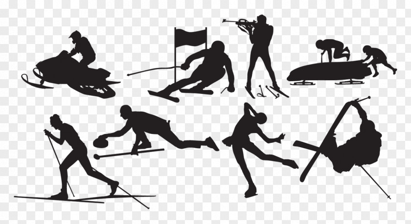 Winter Sports Silhouette Olympic Games Sport Skiing PNG