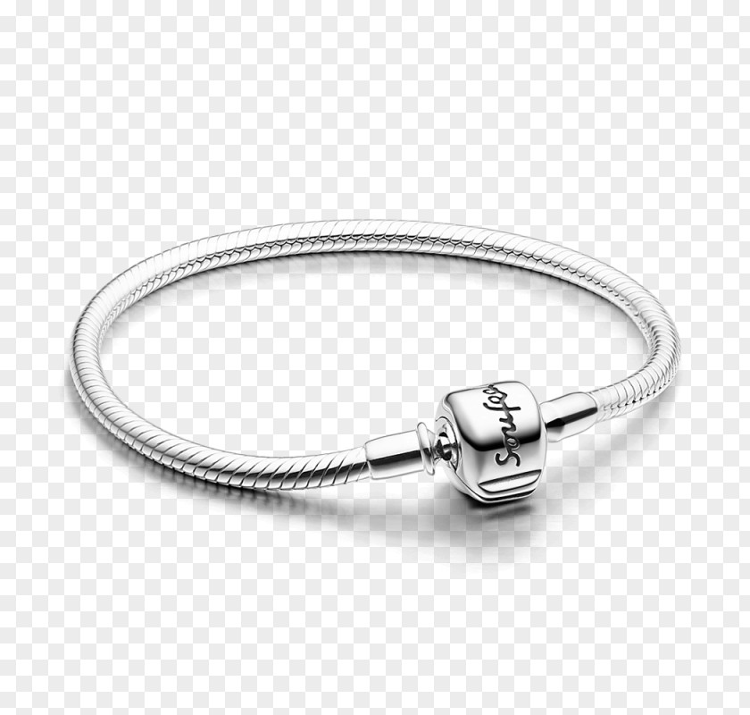 Bases Biologiques De L'amour Charm Bracelet Sterling Silver Jewellery PNG