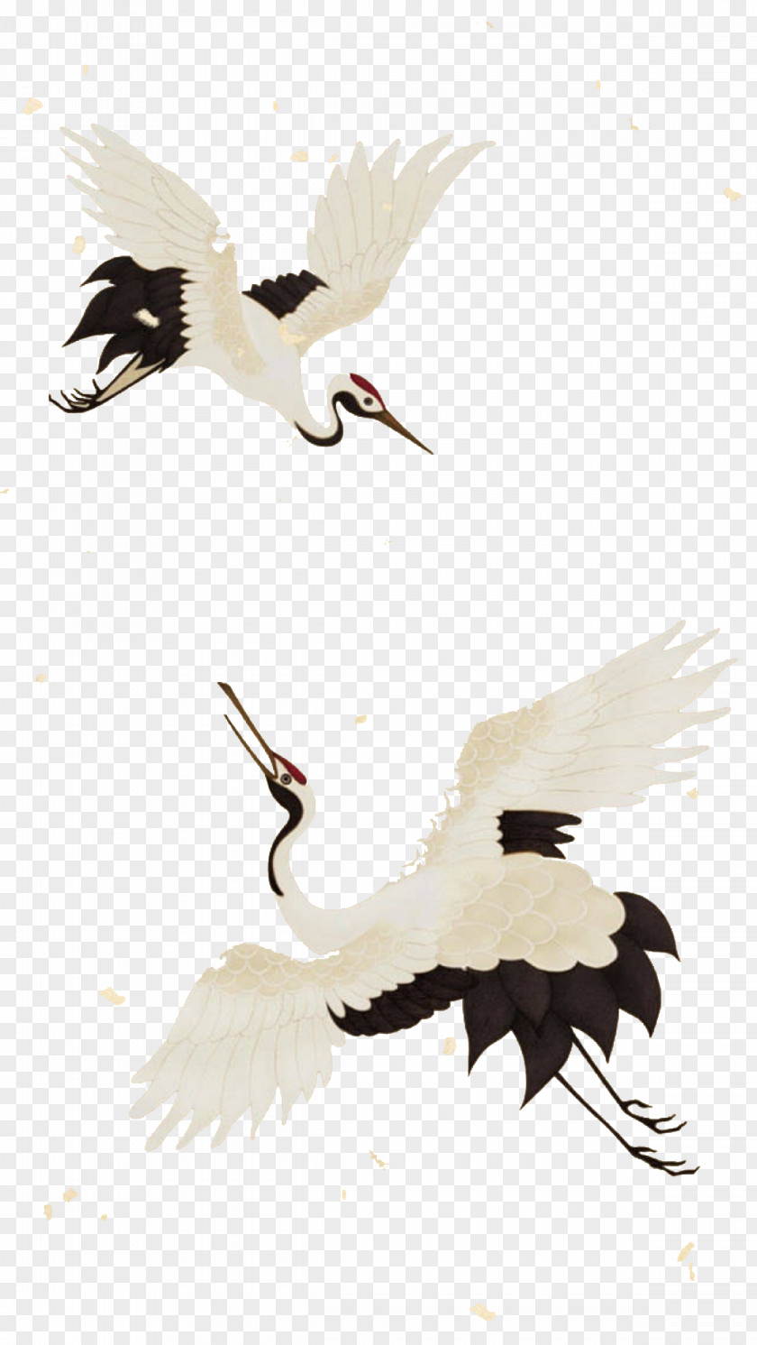 Crane Illustration PNG