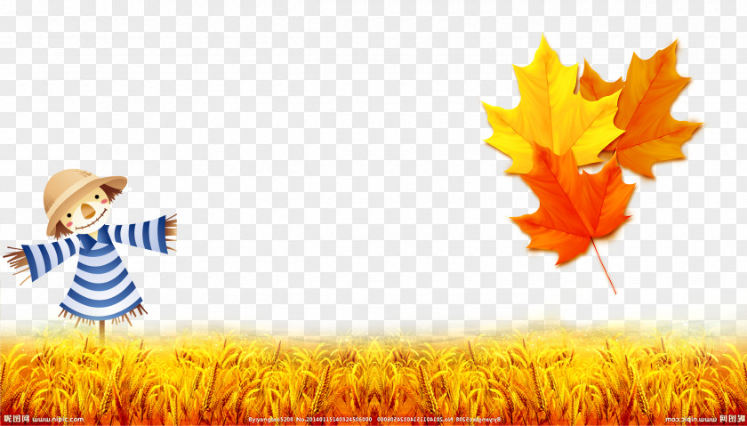 Hand Painted Autumn Leaves PNG