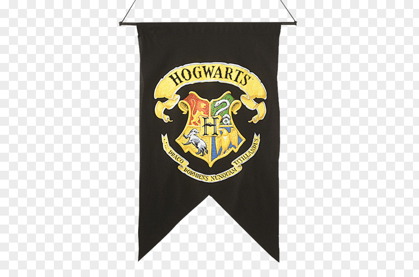 Harry Potter Hogwarts Common Room Hermione Granger Professor Severus Snape PNG