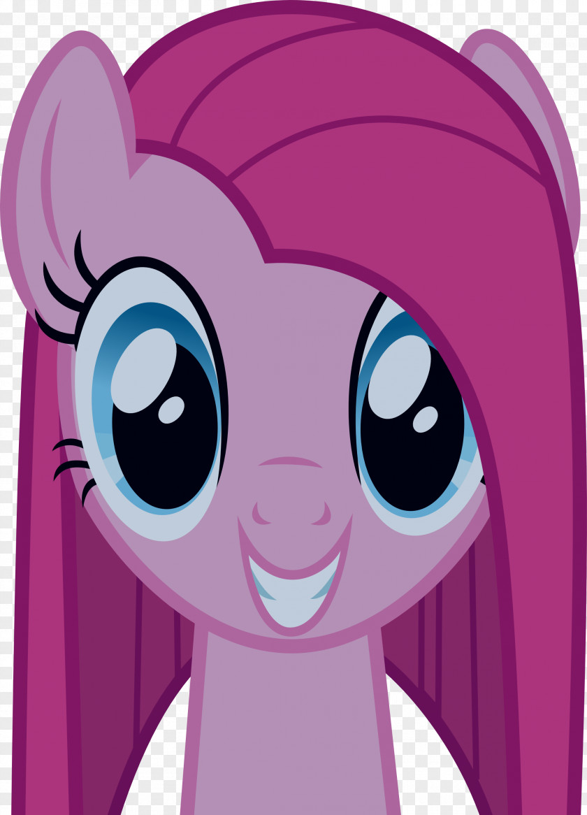 My Little Pony Pinkie Pie Twilight Sparkle Fluttershy Rarity PNG