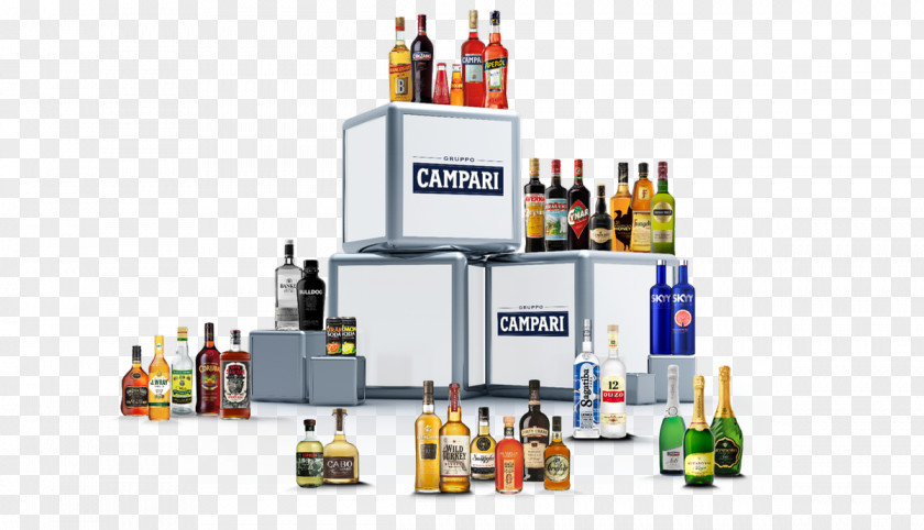 Campari Group Aperol SKYY Vodka Drink PNG