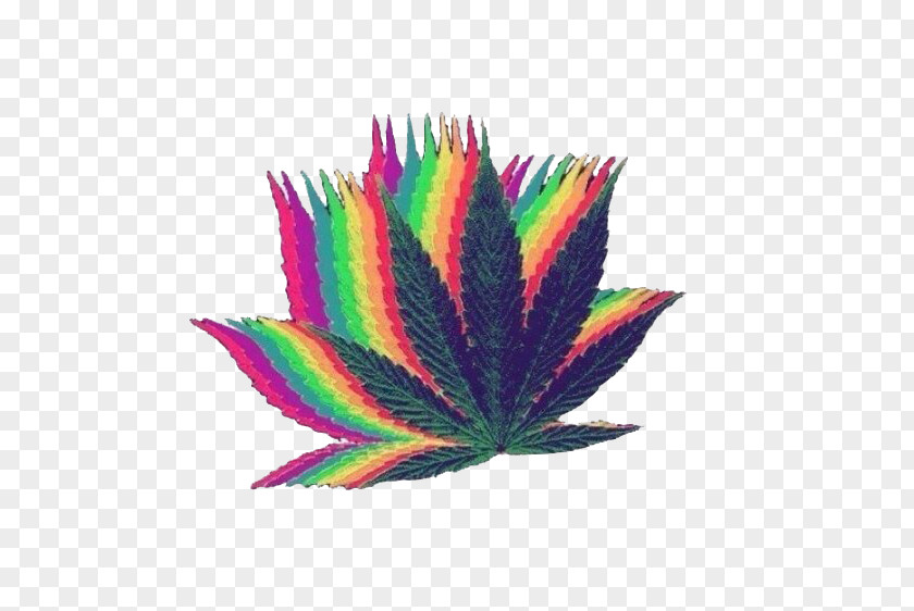 Cannabis Desktop Wallpaper Smoking Rastafari PNG