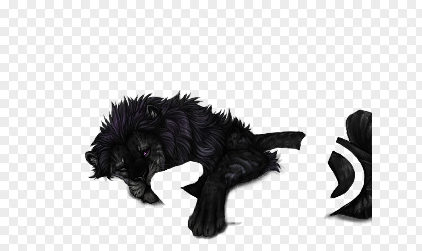 Cat Affenpinscher Fur Black Panther Dog PNG