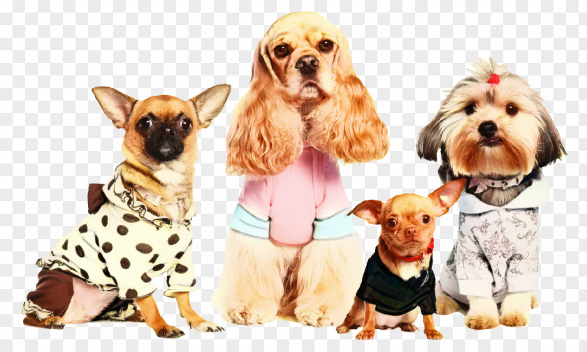 Cocker Spaniel Fawn Dog And Cat PNG