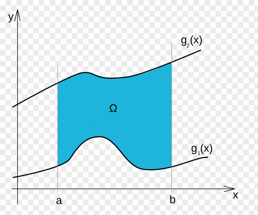 Design Marine Mammal Angle PNG