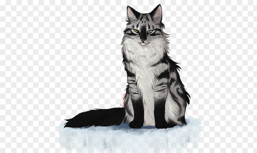 Disguise Maine Coon Norwegian Forest Cat Kitten Whiskers Domestic Short-haired PNG